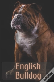 Capa do artigo The Complete Guide To English Bulldog