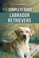 The Complete Guide To Labrador Retrievers