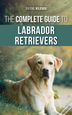 Capa do artigo The Complete Guide To Labrador Retrievers