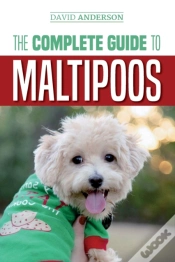 Capa do artigo The Complete Guide To Maltipoos