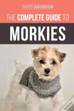 Capa do artigo The Complete Guide To Morkies