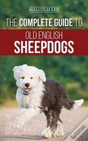 Capa do artigo The Complete Guide To Old English Sheepdogs