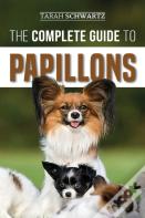 The Complete Guide To Papillons