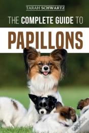 Capa do artigo The Complete Guide To Papillons