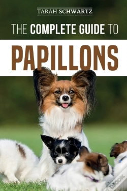 Capa do artigo The Complete Guide To Papillons