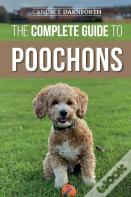 The Complete Guide To Poochons