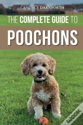 The Complete Guide To Poochons