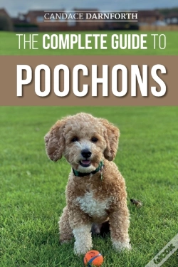 Capa do artigo The Complete Guide To Poochons