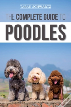 Capa do artigo The Complete Guide To Poodles