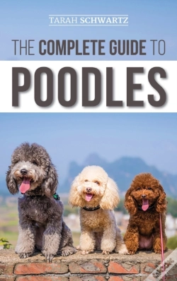 Capa do artigo The Complete Guide To Poodles