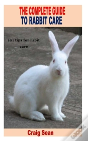 Capa do artigo The Complete Guide To Rabbit Care