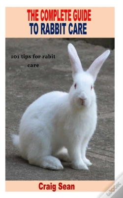 Capa do artigo The Complete Guide To Rabbit Care