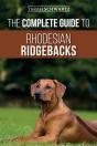 The Complete Guide To Rhodesian Ridgebacks - Preview