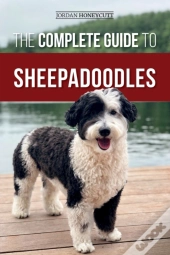 The Complete Guide To Sheepadoodles