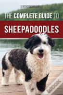 The Complete Guide To Sheepadoodles
