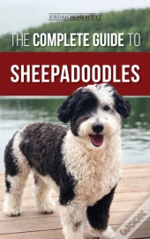 The Complete Guide To Sheepadoodles