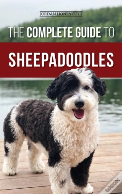 Capa do artigo The Complete Guide To Sheepadoodles
