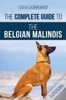 The Complete Guide To The Belgian Malinois