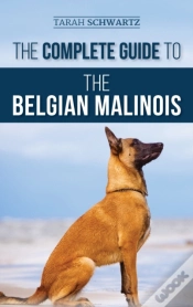 Capa do artigo The Complete Guide To The Belgian Malinois