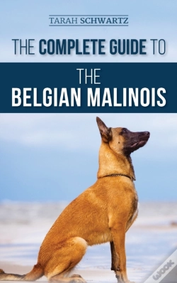 Capa do artigo The Complete Guide To The Belgian Malinois