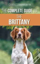 The Complete Guide To The Brittany