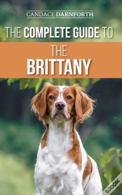 Capa do artigo The Complete Guide To The Brittany