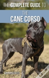The Complete Guide To The Cane Corso