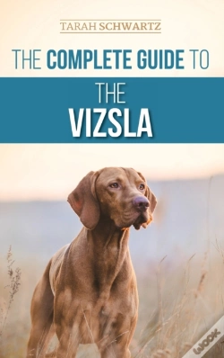 Capa do artigo The Complete Guide To The Vizsla