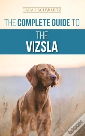 Capa do artigo The Complete Guide To The Vizsla