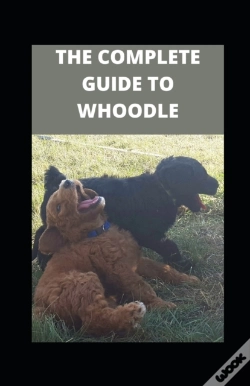 Capa do artigo The Complete Guide To Whoodle