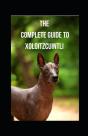 The Complete Guide To Xoloitzcuintli - Preview