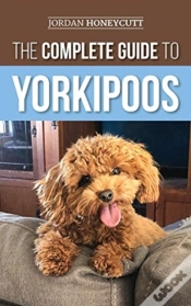 Capa do artigo The Complete Guide To Yorkipoos