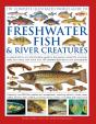 The Complete Illustrated World Guide To Freshwater Fish And River Creatures - Preview