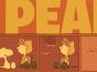 The Complete Peanuts 1991-1994 Gift Box Set (Vols. 21 & 22) - Preview