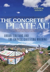 Capa do artigo The Concrete Plateau