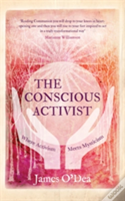 Capa do artigo The Conscious Activist
