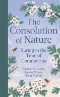 The Consolation Of Nature