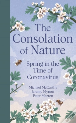 Capa do artigo The Consolation Of Nature