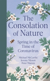 Capa do artigo The Consolation Of Nature