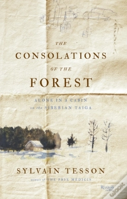 Capa do artigo The Consolations Of The Forest