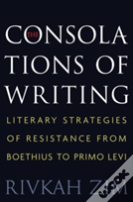 The Consolations Of Writing