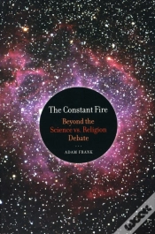 Capa do artigo The Constant Fire