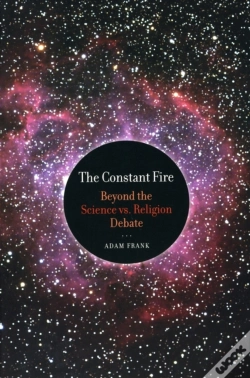 Capa do artigo The Constant Fire
