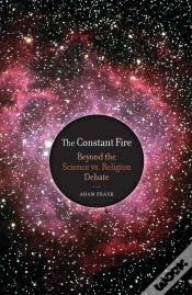 Capa do artigo The Constant Fire