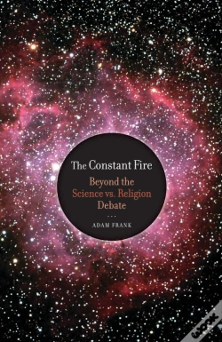Capa do artigo The Constant Fire
