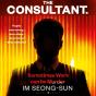 The Consultant - Preview
