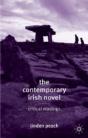 The Contemporary Irish Novel - Preview