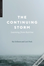 Capa do artigo The Continuing Storm