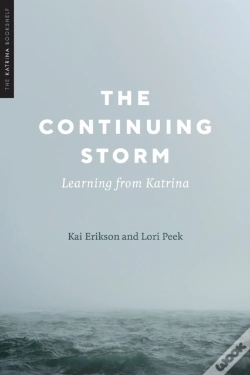 Capa do artigo The Continuing Storm