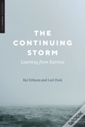 Capa do artigo The Continuing Storm